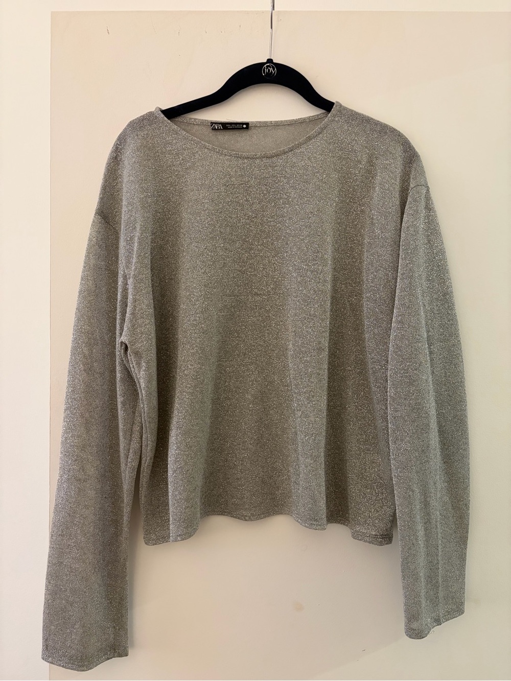 Zara Silver Shimmer Crewneck Top